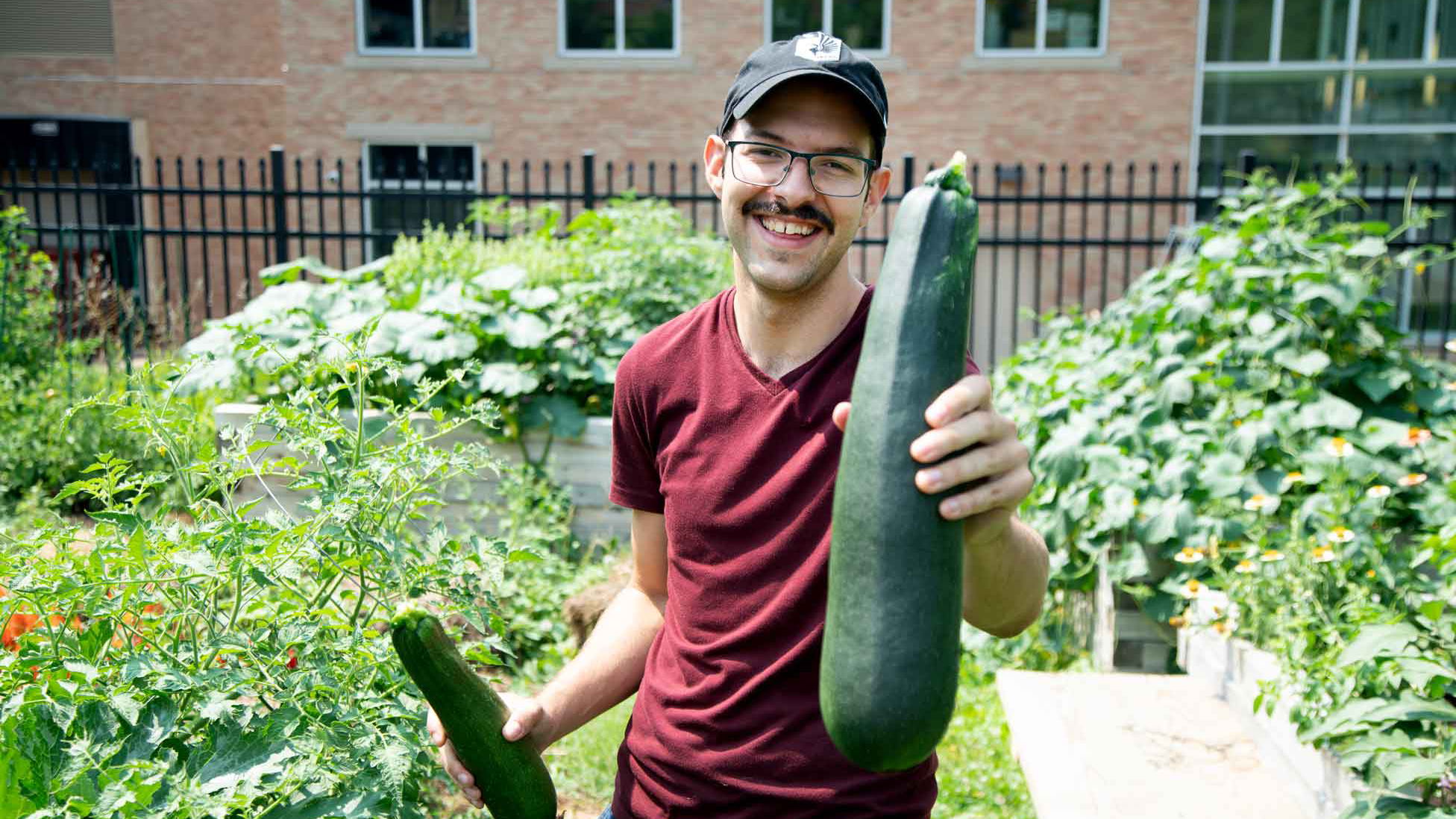 Image shows a Metro State student worker in our community garden on campus, holding a giant zucchini he just harvested!