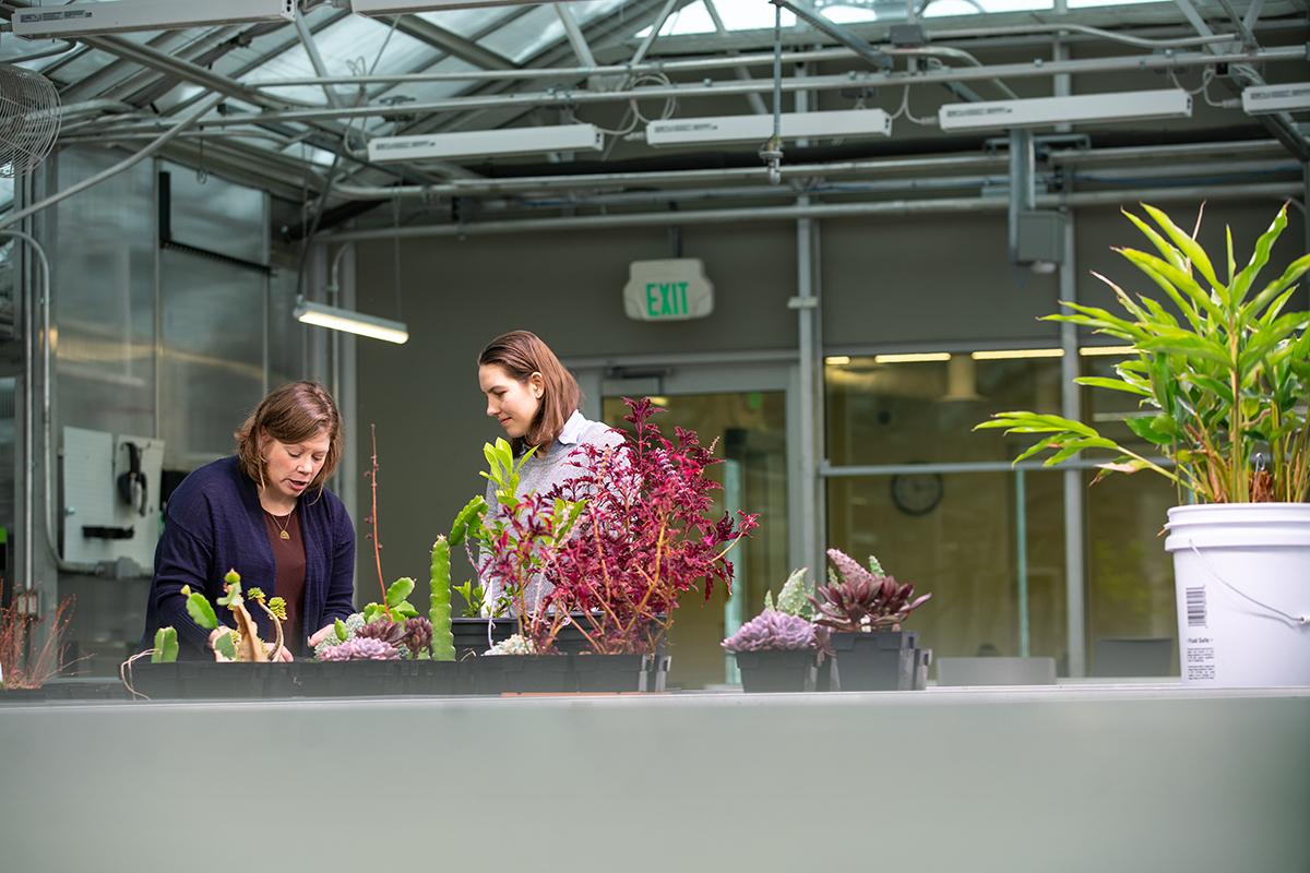 An instructor works one on one with a student in the GROW IT Center greenhouse